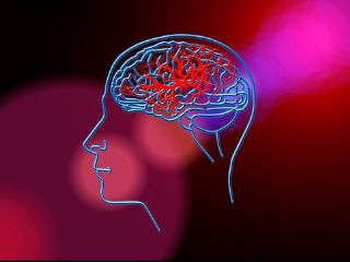 Scientists Find New Brain Mechanism That Could Help Manage Substance Abuse