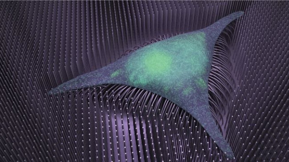 Iron Nanowires for Bone Cell Formation Developed, Could Pave Way for Degenerative Bone Disease Treatments