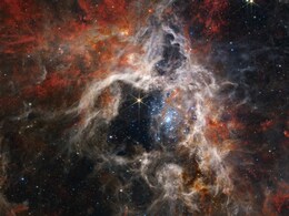 NASA's Webb Space Telescope Reveals Never-Before-Seen Stellar Image of Tarantula Nebula NASA's Webb Space Telescope Reveals Never-Before-Seen Stellar Image of Tarantula Nebula