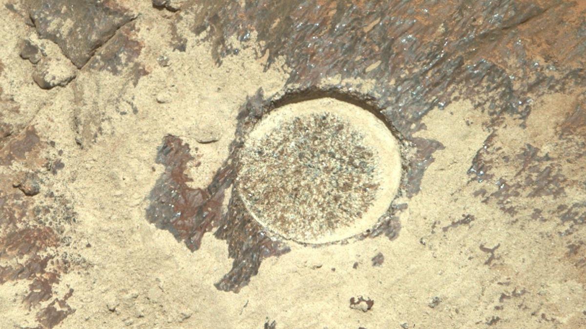 NASA's Perseverance Mars Rover Spots Something 'No One's Ever Seen', Shares Images