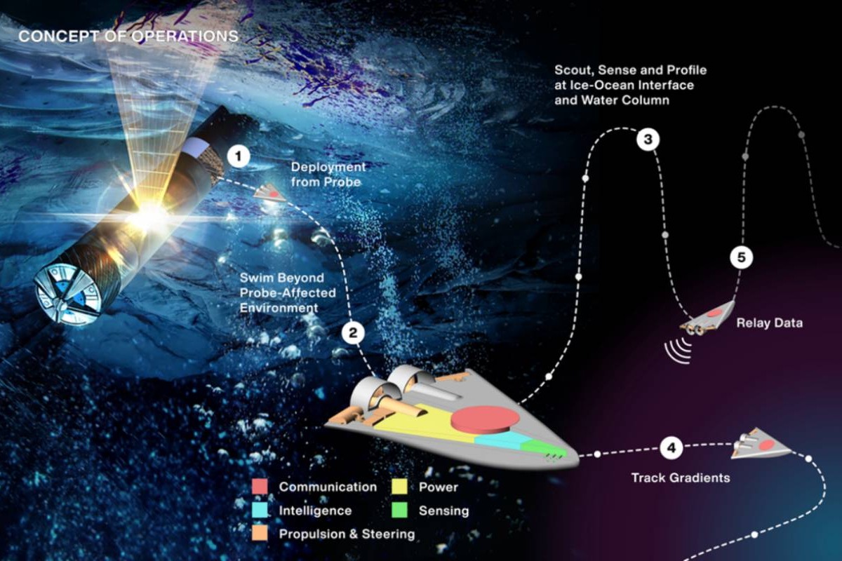 NASA Developing Swarm of Smartphone-Sized Swimming Robots to Explore Oceans on Distant Planets