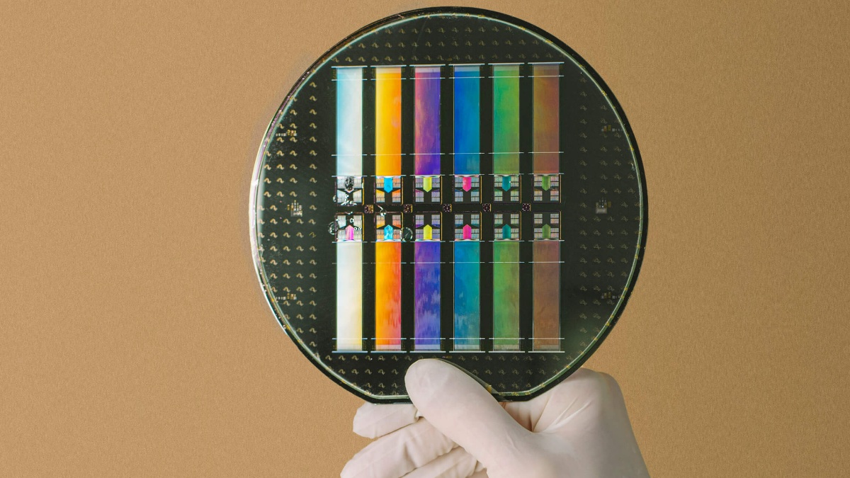 Neuralink Animal Testing: US Lawmakers Push for More Oversight of Elon Musk's Brain Chip Firm