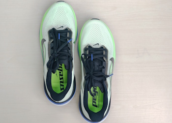 Nike Pegasus 42 Review
