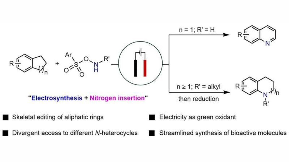 Electricity-Driven Nitrogen Insertion Opens a Sustainable Path to Drug-Ready Heterocycles
