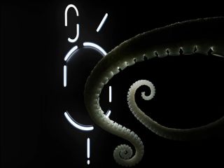 Nothing Phone 2&#039;s Charging Cable Design Teased Ahead of July 11 Launch