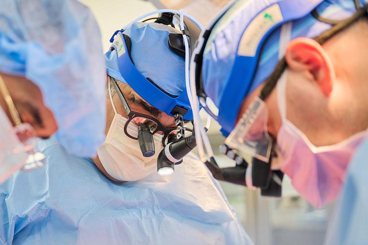 Pig Hearts Transplanted Into Two Dead Persons in Quest to Save Humans With Animal Organs