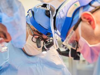 Pig Hearts Transplanted Into Two Dead Persons in Quest to Save Humans With Animal Organs