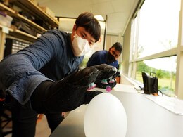 Octopus-Inspired 'Octa-Glove' Helps Grip Objects Underwater: All You Need to Know Octopus-Inspired 'Octa-Glove' Helps Grip Objects Underwater: All You Need to Know