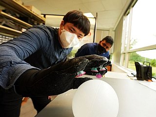 Octopus-Inspired &#039;Octa-Glove&#039; Helps Grip Objects Underwater: All You Need to Know