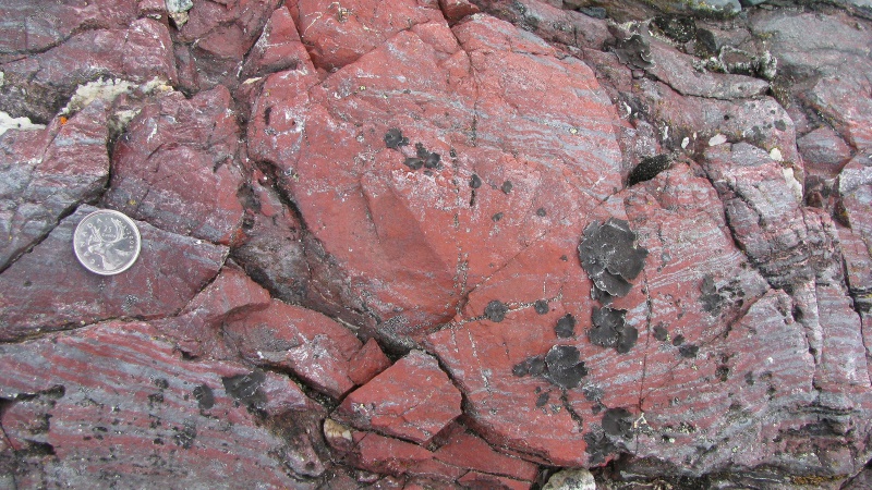 Fossils Point to Life on Earth 4 Billion Years Ago