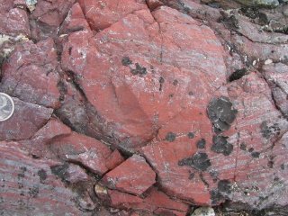 Fossils Point to Life on Earth 4 Billion Years Ago