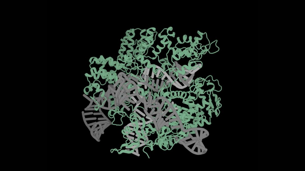 Profluent Announces AI Gene Editor Generator OpenCRISPR to Enable Creating Bespoke Cures for Diseases