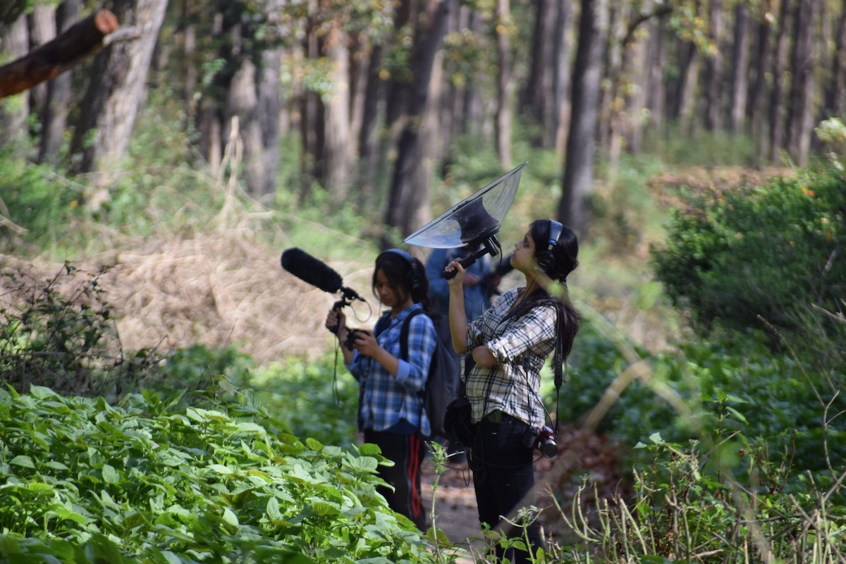 Nature&rsquo;s Radio: Listening to Birds Singing to My Microphone