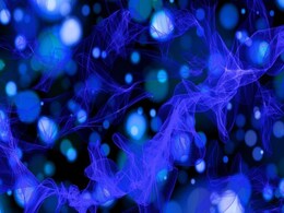 Physicists Predict Exotic ‘Paraparticles’ Defying Fermion and Boson Classifications Physicists Predict Exotic ‘Paraparticles’ Defying Fermion and Boson Classifications