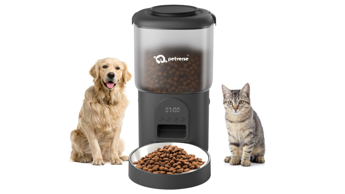 Top-Rated Smart Pet Feeders in India: Keep Your Furry Friends Fed While at Work