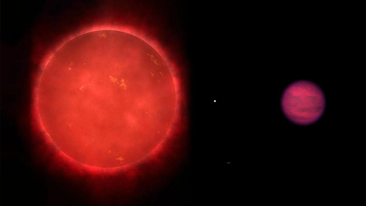 Webb Finds Phosphorus-Bearing Gas in an Ancient Brown Dwarf