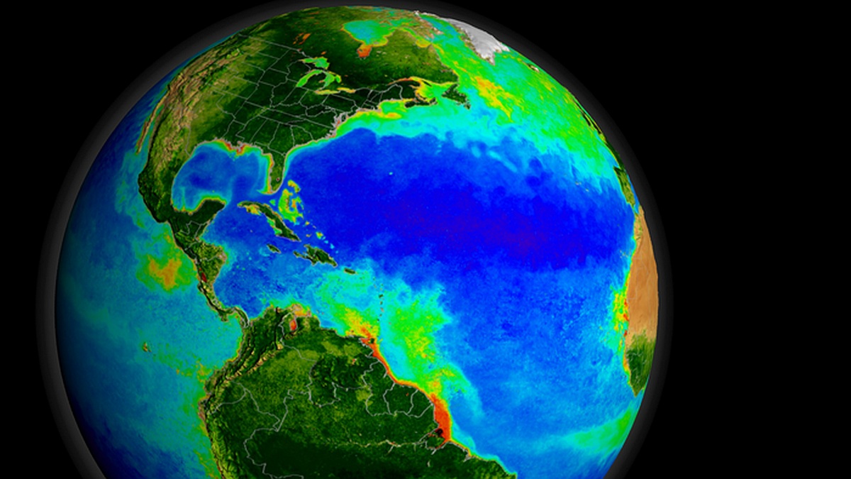 New Global Ocean Model Could Help Understand Effect of Day, Night Cycle on Global Food Web: Details