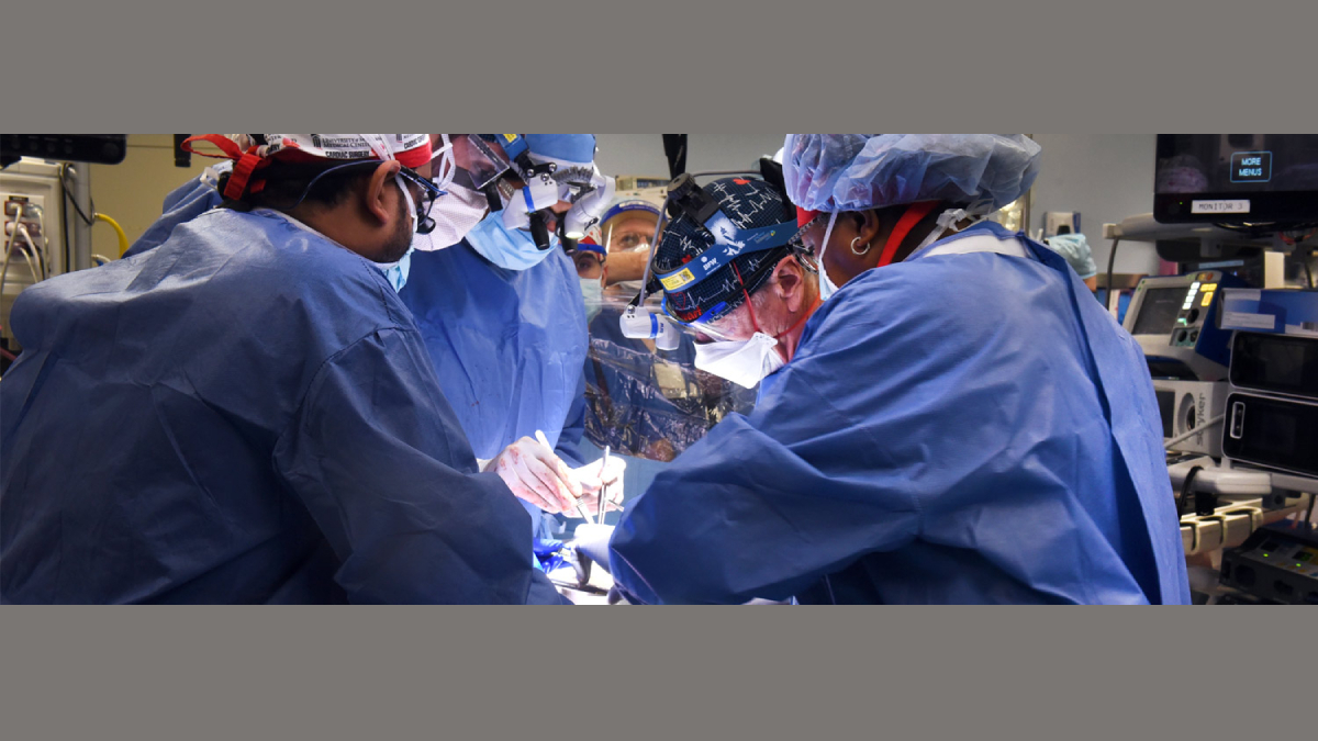 First Person With Transplanted Genetically Modified Pig Heart Dies After Two Months First Person With Transplanted Genetically Modified Pig Heart Dies After Two Months