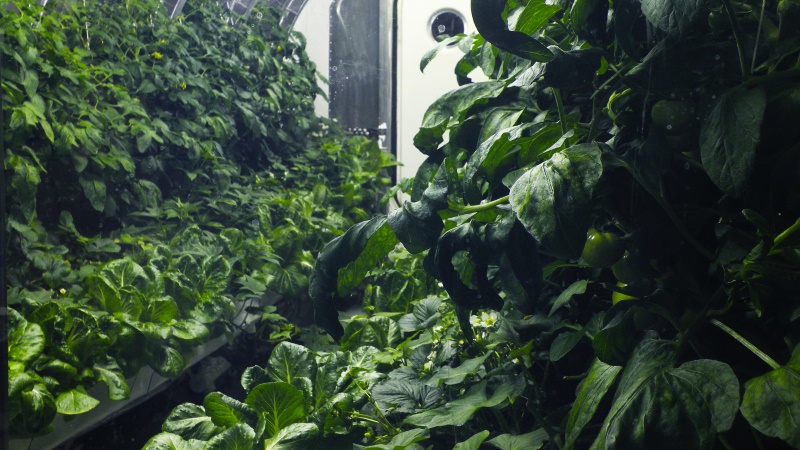 NASA's Inflatable Greenhouse Could Feed Astronauts on Mars