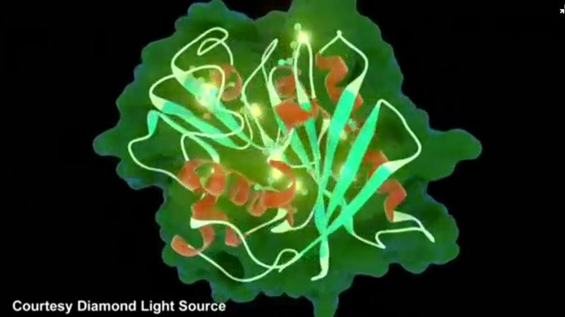 Is This Plastic-Eating Enzyme the Pollution Cure We've All Been Waiting For?