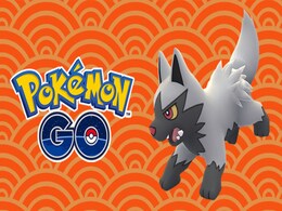 Pokemon Go's Year of the Dog Event Focuses on Canine-Shaped Monsters Pokemon Go's Year of the Dog Event Focuses on Canine-Shaped Monsters
