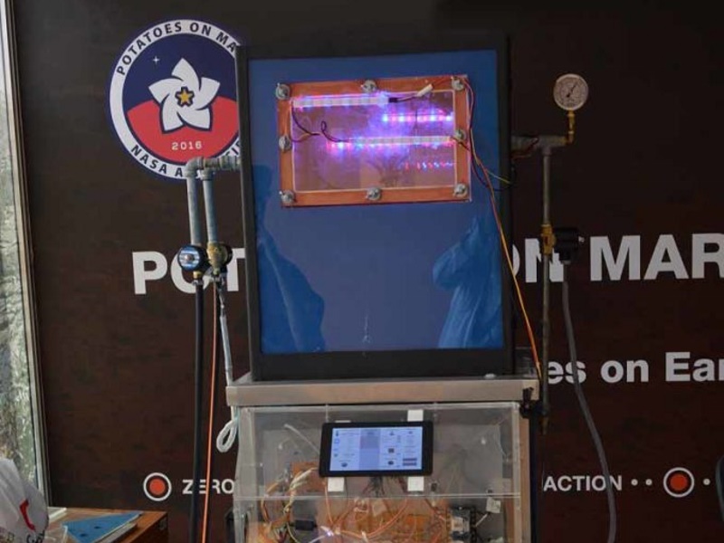 Potatoes May Grow on Mars, Suggests Experiment