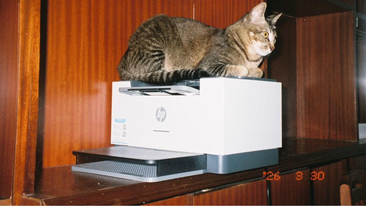 Top WiFi Printer Deals in Flipkart Freedom Sale 2026: Snag Discounts Like Never Before