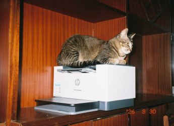 Top WiFi Printer Deals in Flipkart Freedom Sale 2026: Snag Discounts Like Never Before