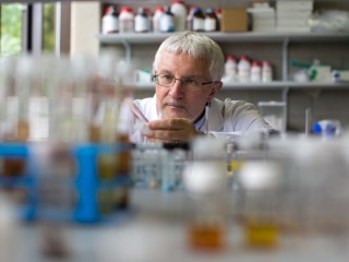 Research Team From Ireland Develops New Material to Capture Toxic Air Pollutants Like Benzene