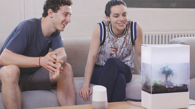 Google's AI-Based 'Project Oasis' Terrarium Simulates Real-World Weather Conditions