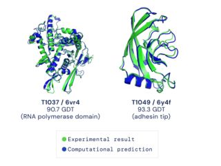 Google Sister Firm DeepMind&#039;s AI Cracks Protein-Folding Problem, Heralds New Age of Bioengineering, Medicine