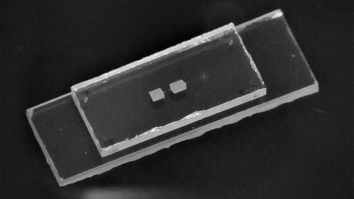 Scientists Find Way to Measure Mechanical Quantum Systems Without Breaking It Down