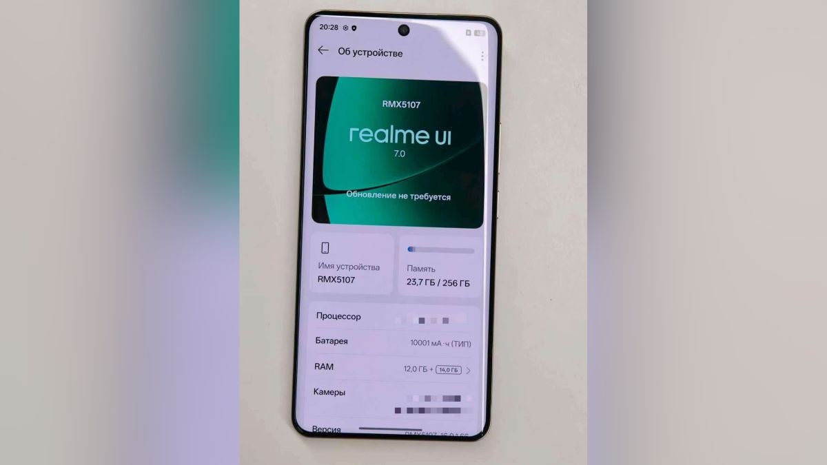 realme 10001mah Realme
