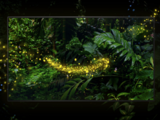 Redmi Fire TV With Fire OS 7, Metallic Bezel-Less Design to Launch in India on March 14