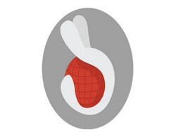 Redmorph Enters India With Smartphone Security App for Android Redmorph Enters India With Smartphone Security App for Android