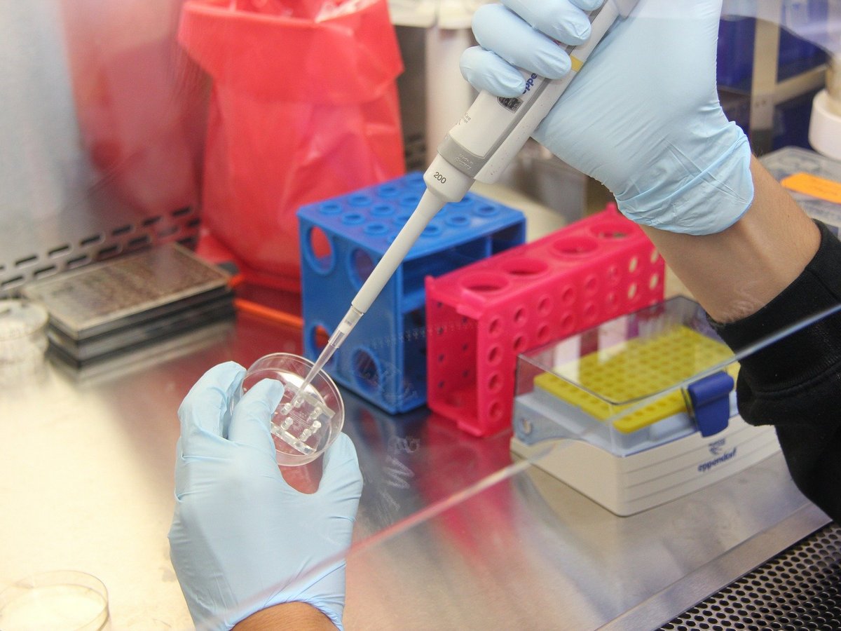 Scientists to Harness the Sun to Break Down Plastic