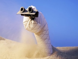 This Snake-Like Robot, Inspired By Plants, Can Burrow Through Sand And Soil This Snake-Like Robot, Inspired By Plants, Can Burrow Through Sand And Soil