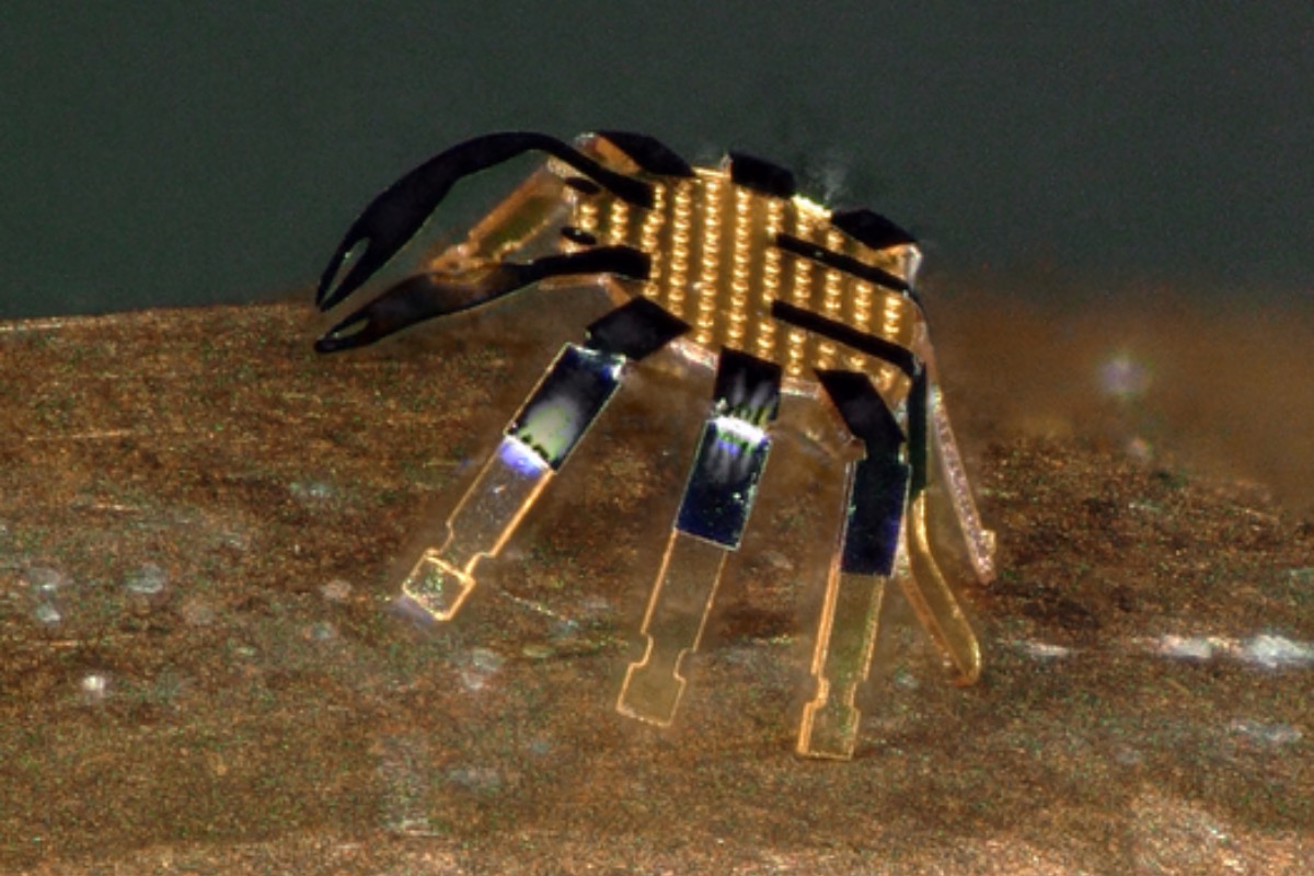 World’s Tiniest Remote-Controlled Walking Robot Developed in Shape of a Crab, Smaller in Size Than a Flea