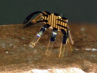 World&rsquo;s Tiniest Remote-Controlled Walking Robot Developed in Shape of a Crab, Smaller in Size Than a Flea