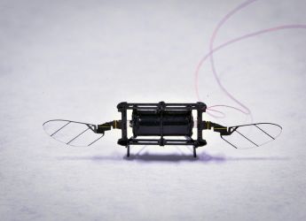 MIT Develops Tiny Robotic Insect Drones with 100x Longer Flight Time Than Before