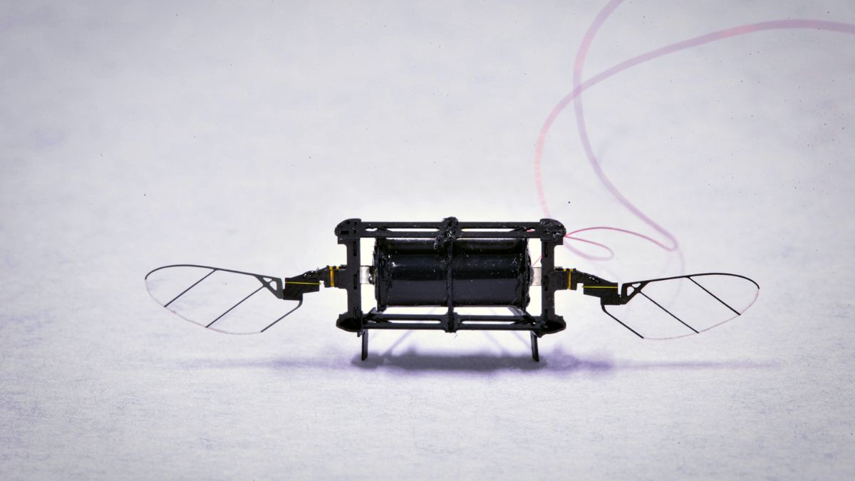 MIT Develops Tiny Robotic Insect Drones with 100x Longer Flight Time Than Before