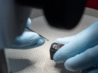 Ryugu Samples Are Most Contaminant-Free Outer Solar System Particles, Says Study