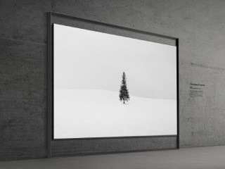 CES 2026: Samsung Launches 130-Inch Micro RGB TV With New Frame Design, Eclipsa Audio