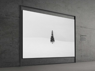 CES 2026: Samsung Launches 130-Inch Micro RGB TV With New Frame Design, Eclipsa Audio