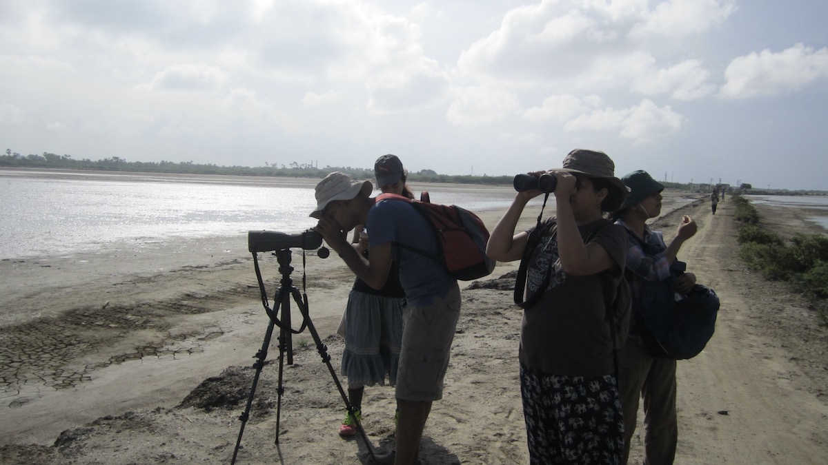 Spotting Scopes for Birdwatching: All You Need to Know