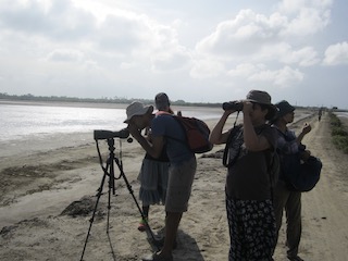 Spotting Scopes for Birdwatching: All You Need to Know