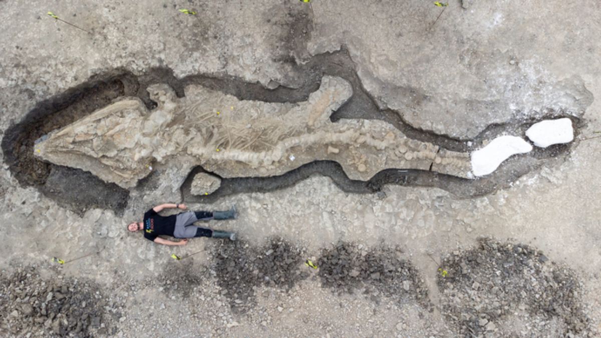 Gigantic 180-Million-Year-Old Fossil of 'Sea Dragon' Found in UK Reservoir