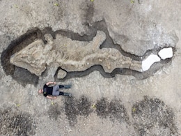 Gigantic 180-Million-Year-Old Fossil of 'Sea Dragon' Found in UK Reservoir Gigantic 180-Million-Year-Old Fossil of 'Sea Dragon' Found in UK Reservoir
