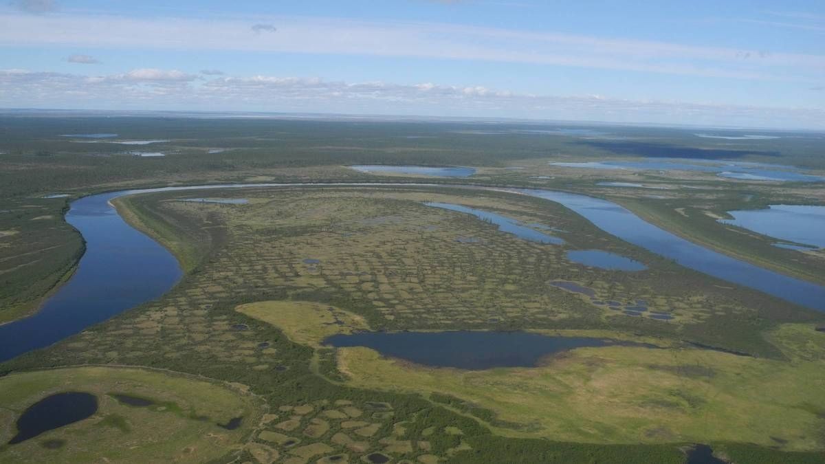 Siberian Tundra Could Virtually Disappear Due To Rising Global Temperatures, Says Study
