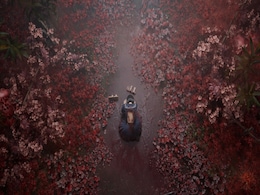 Silent Hill F Sells 1 Million Copies; Game Selling Faster Than Silent Hill 2 Remake, Says Konami Silent Hill F Sells 1 Million Copies; Game Selling Faster Than Silent Hill 2 Remake, Says Konami